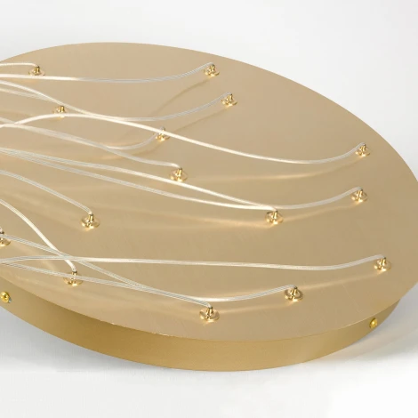 Подвесная люстра LED Lussole Hopkins LSP-7404 (220V, на проводе)