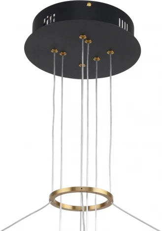 Подвесной светильник Daur 3097-8P F-Promo (LED, 220V, на тросе, кольцо)