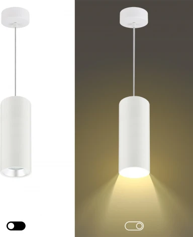 Подвесной светильник ЭРА PL12 GX53 WH/SL (220V, на проводе)