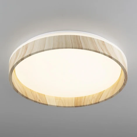 Потолочный светильник RGB круглый светодиодный с пультом Citilux Enzo CL753352G (220V, круглые)