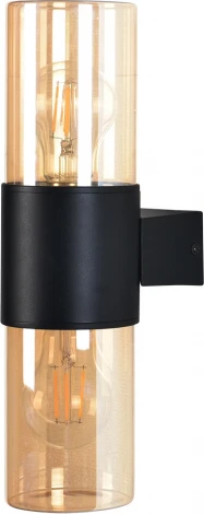 Настенный уличный светильник Arte Lamp A6515AL-2BK (220V, круглые, IP54)