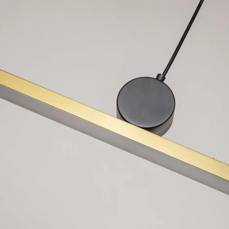 Подвесной светильник Firmato 4061-2P (LED, 220V, на тросе)