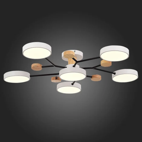 Потолочная люстра на штанге Evoluce Faema SLE6006-502-06