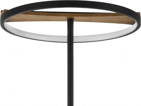 Торшер Lightstar Lodi 723727 (LED, 220V, выключатель, круглые)