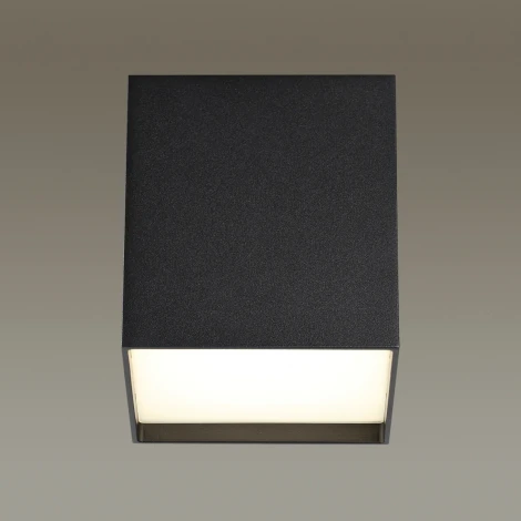 Накладной точечный светильник Odeon Light Roxy 4233/10CL