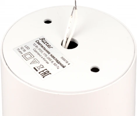 Накладной светильник Ritter Arton 59978 4