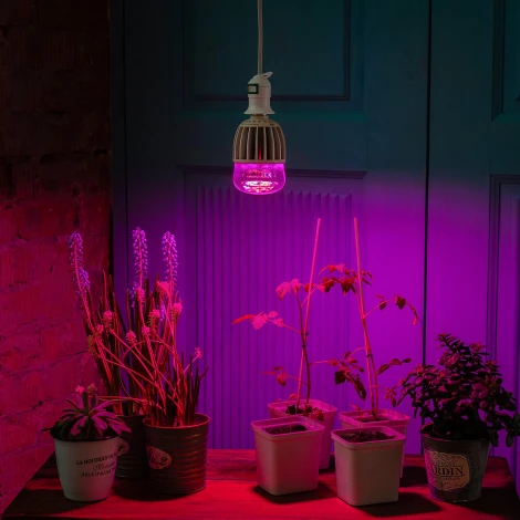 Лампочка светодиодная E27 20W груша прозрачная Uniel LED-M80-20W/SP/E27/CL ALS55WH картон