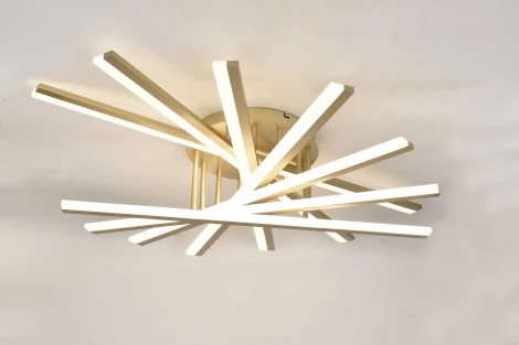 Потолочная люстра светодиодная с пультом Rivoli Cordelia 6184-701