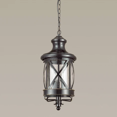 Уличный светильник подвесной Odeon Light Sation 4045/3 (220V, на цепи, IP44)