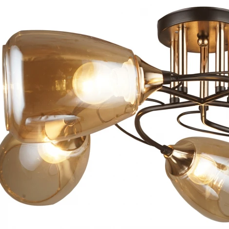 Потолочная люстра Wedo Light Sabato 66267.01.69.05