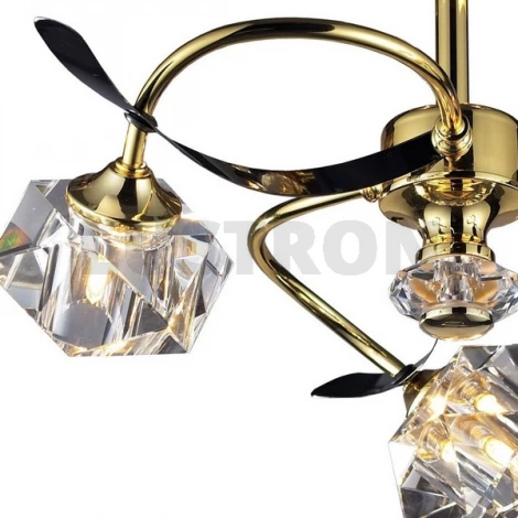 Потолочная люстра N-Light 91713 09 1713 0313 03 gold + black chrome