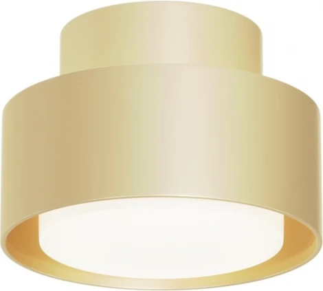 Потолочный светильник Maytoni Space C092CL-GX53-MG (220V, круглые)