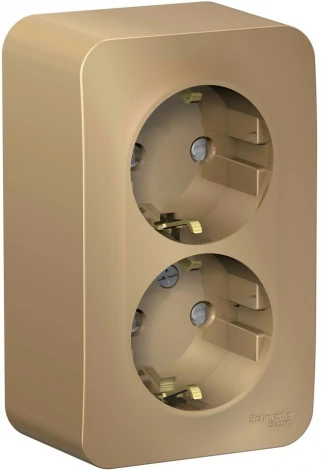 Розетка накладная двойная с заземлением и шторками (титан) Systeme Electric Blanca BLNRA011204