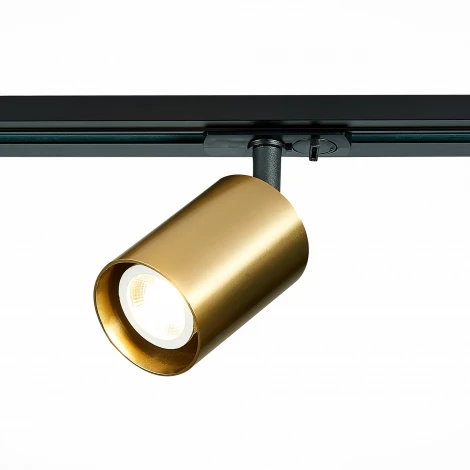 Трековый светильник ST Luce St302 ST302.206.01 (220V, круглые)