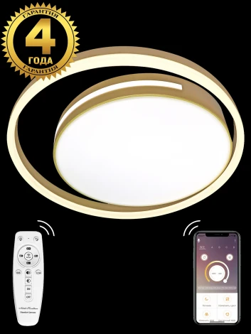 Потолочный светильник Natali Kovaltseva LED LAMPS 81304