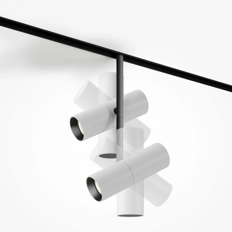 Трековый светильник магнитный 48V Maytoni Elti Duo TR005-4-2X12W-DS-BW (LED, круглые)