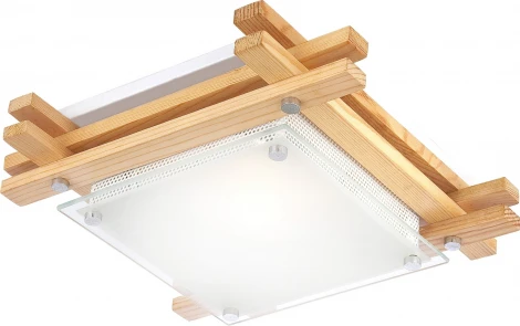 Настенно-потолочный светильник Globo EDISON 48323