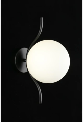 Бра Aployt Jagna APL.312.01.01 (220V, шар)