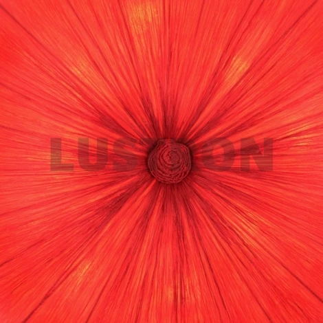 Потолочный светильник ST Luce SL351 SL351.162.08