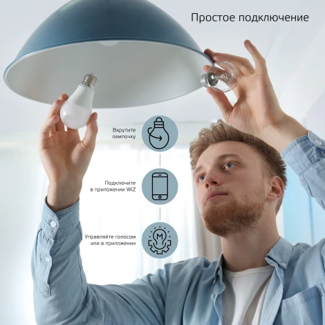 Умная лампочка светодиодная Gauss Smart Home 1110112