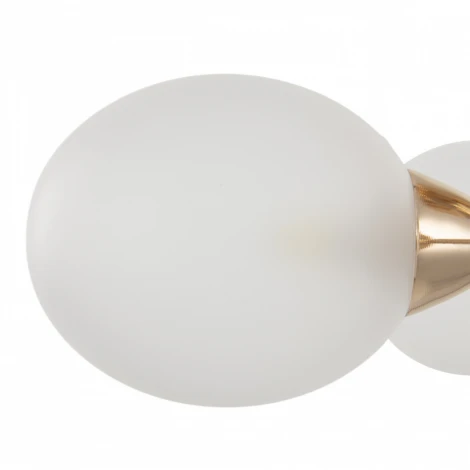 Потолочная люстра на штанге Arte Milano Napoli-2420 332420/5 FGD (220V)