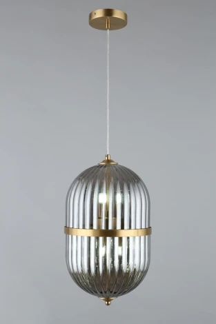 Подвесной светильник Aployt Ludovica APL.860.06.06 (220V, на проводе, круглые)