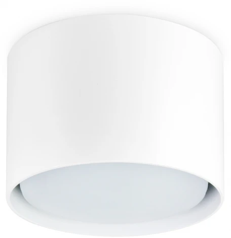 Точечный накладной светильник TECHNO SPOT TN5301 (220V)