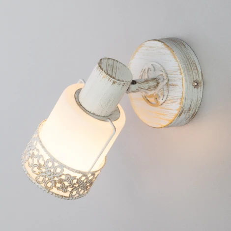 Спот Eurosvet 20025-20026 20025/1 белый с золотом (220V, круглые)