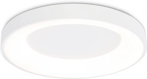 Потолочный светильник круглый светодиодный с пультом и регулировкой цветовой температуры Ambrella ORBITAL FZ1401 (220V, круглые)