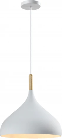 Подвесной светильник Moderli Eline V11439-1P (220V, на проводе, круглые)