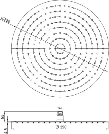 Верхний душ RGW Shower Panels SP-81-25