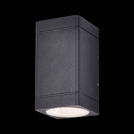 Настенный светильник уличный ST Luce Coctobus SL563.401.02