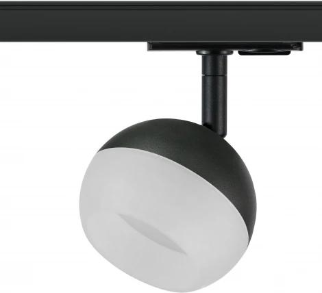 Трековый светильник ЭРА TR46 - GX53 BK (220V, шар)