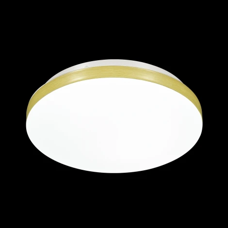Настенно-потолочный светильник Sonex Smalli 3066/AL (LED, 220V, круглые, IP43)