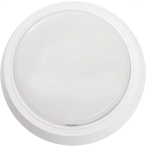 Настенно-потолочный светильник светодиодный Feron AL3020 41767 (220V, круглые)