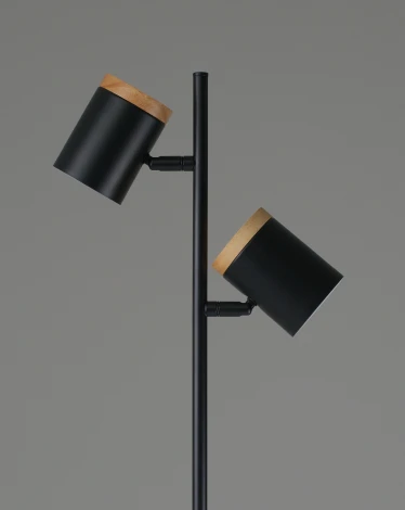 Торшер с выключателем Moderli Asheswood V11287-2F (220V)