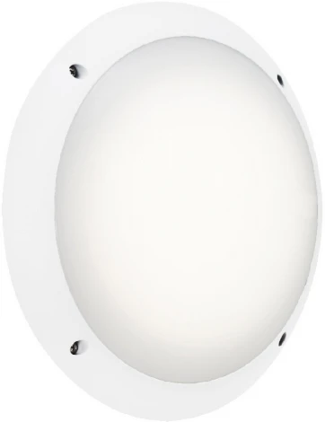 Потолочный светильник уличный Fumagalli Lucia 1R3.000.000.WYE27 (220V, круглые, IP66)