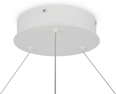 Подвесной светильник Maytoni Rim MOD058PL-L65WK (LED, 220V, на тросе, кольцо)