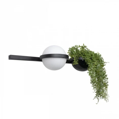 Настенный светильник Jardin 10121W/A Loft It (LED, 220V, шар)