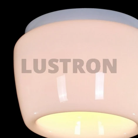 Потолочный светильник ST Luce SL876 SL876.502.01