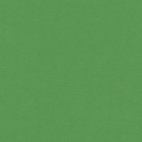 Рулонные обои BN International BN 219505