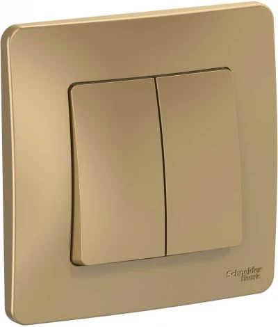 Выключатель встраиваемый двухклавишный (титан) Systeme Electric Blanca BLNVS010504