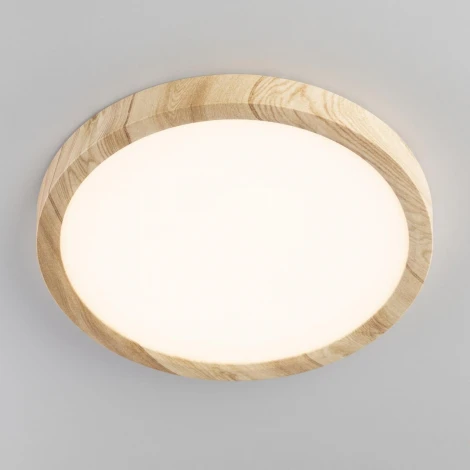 Настенно-потолочный светильник Citilux Бейсик CL738182V (регулировка яркости, LED, 220V, круглые, IP40)