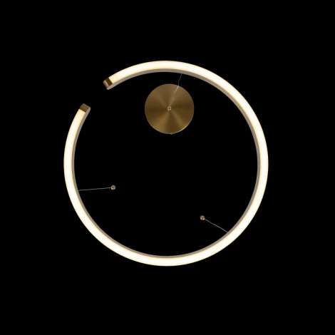 Подвесной светильник Loft IT Ring 10013L (LED, 220V, на тросе, кольцо)