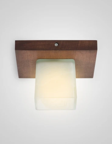 Потолочный светильник прямоугольный Мелодия Света SS1N 000036799