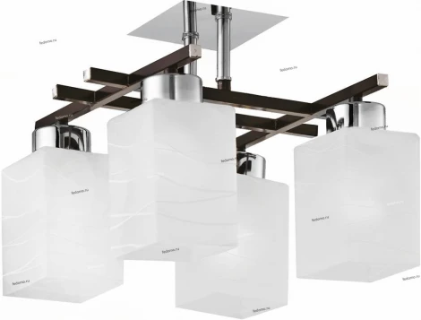 Потолочная люстра Toscom Frida TC-995-204