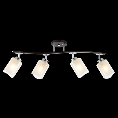 Потолочная люстра на штанге Citilux Фортуна CL156142 (220V)