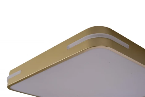 Потолочный светильник Zortes Gabby ZRS.1215.03 (LED, 220V)