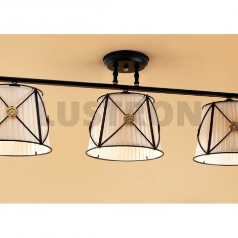 Потолочная люстра Citilux Дрезден CL409231 (220V)