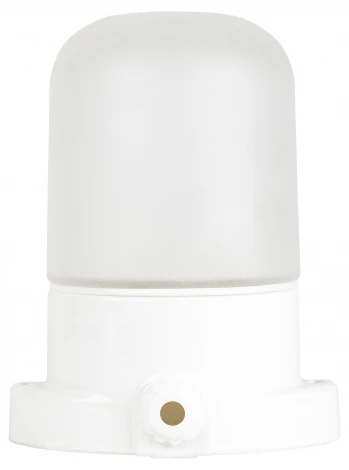 Настенный светильник влагозащищенный ЭРА НББ 02 НББ 02-60-001